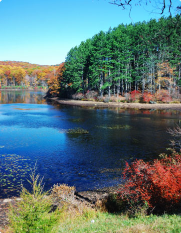 New-Hampshire